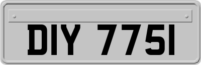 DIY7751