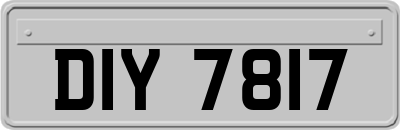 DIY7817