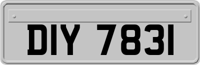 DIY7831