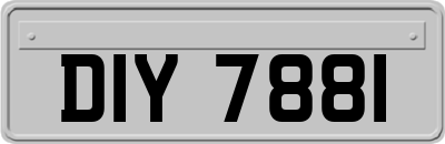 DIY7881