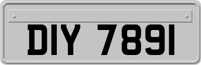DIY7891