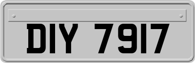 DIY7917