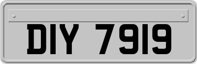 DIY7919