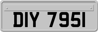 DIY7951