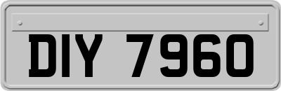 DIY7960