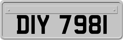 DIY7981