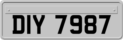 DIY7987