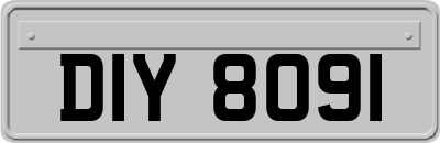 DIY8091
