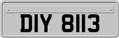 DIY8113