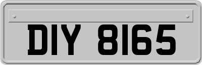 DIY8165