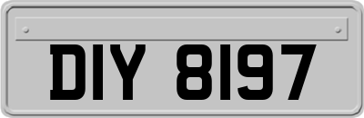 DIY8197