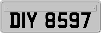 DIY8597