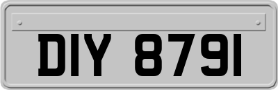 DIY8791