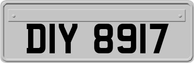 DIY8917