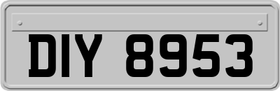 DIY8953