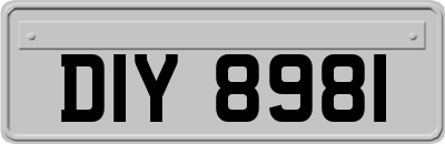 DIY8981