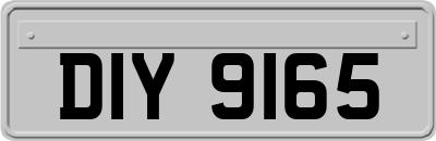 DIY9165