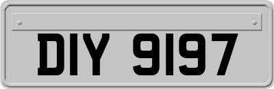DIY9197