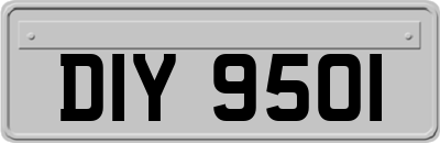 DIY9501