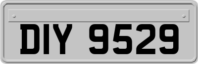 DIY9529
