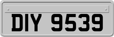 DIY9539