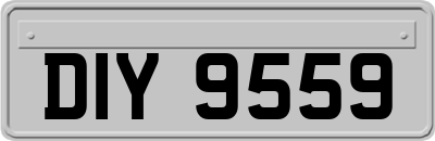 DIY9559