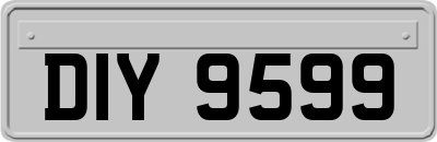 DIY9599