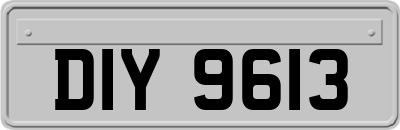 DIY9613