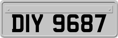 DIY9687