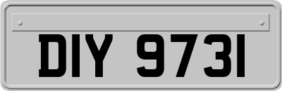 DIY9731