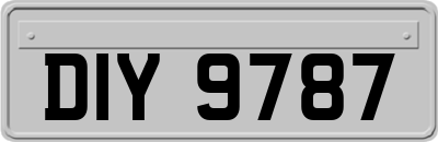 DIY9787
