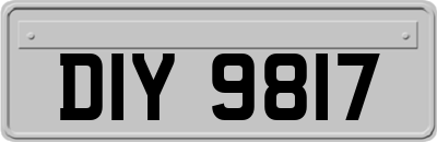 DIY9817