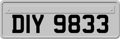 DIY9833
