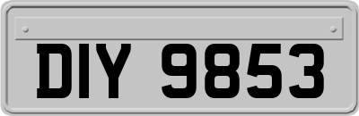 DIY9853