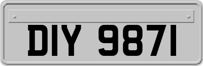 DIY9871