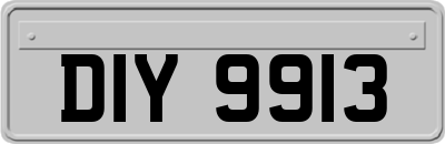 DIY9913
