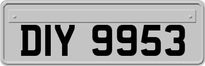 DIY9953