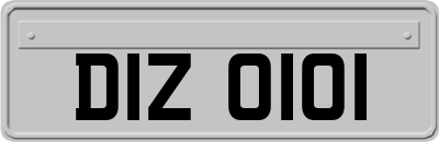 DIZ0101