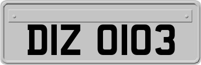 DIZ0103