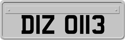 DIZ0113