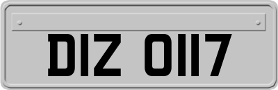 DIZ0117