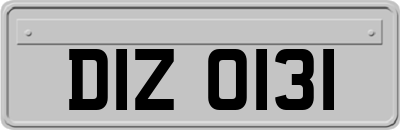 DIZ0131
