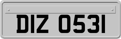 DIZ0531