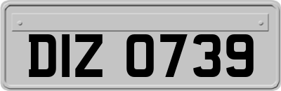 DIZ0739