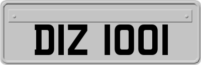 DIZ1001
