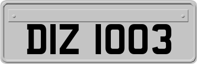 DIZ1003