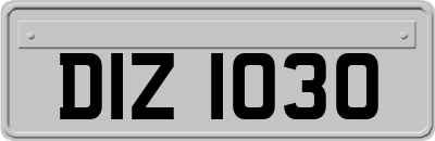 DIZ1030