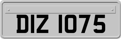 DIZ1075