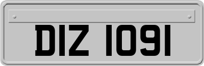 DIZ1091