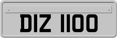 DIZ1100